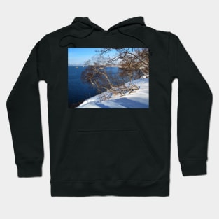 Avacha Bay from Nikolskaya Hill, Petropavlovsk, Kamchatka, Russia. Hoodie